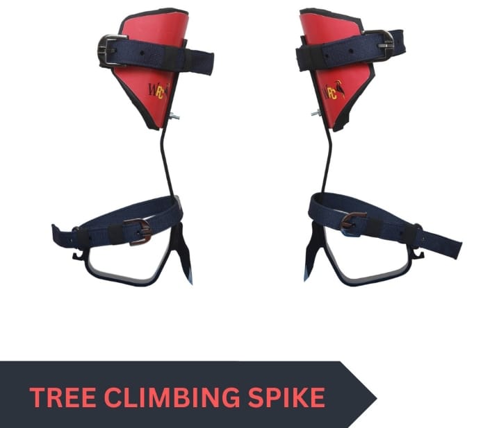 043938fa-11b0-4386-a576-d3a86e1a1329